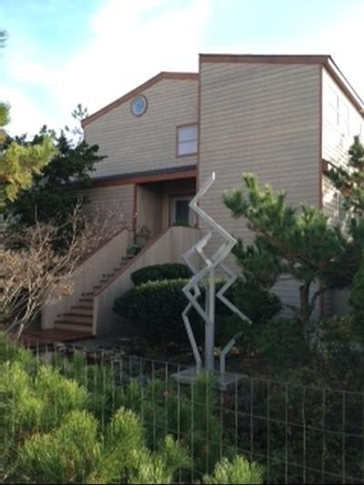 Island Properties Feature House